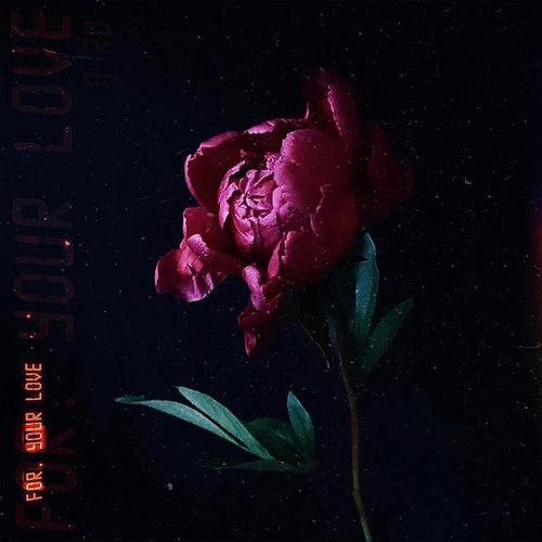 For Your Love (Single) - Nomadikh
