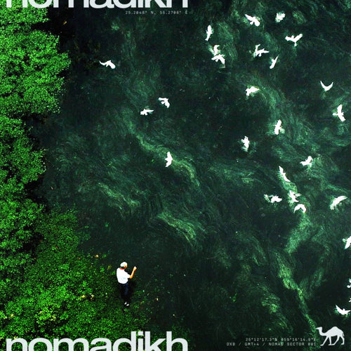 Memories (Single) - Nomadikh